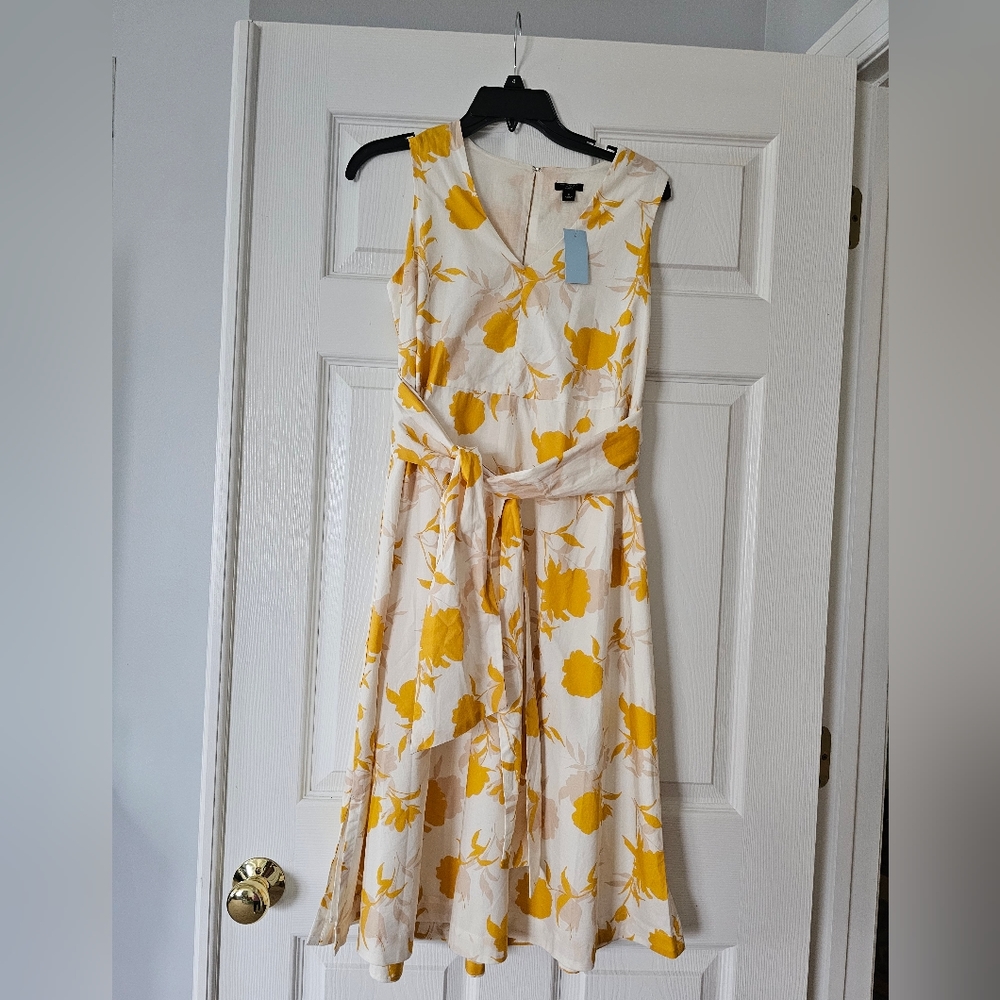 Ann Taylor Pettit midi dress new with tag